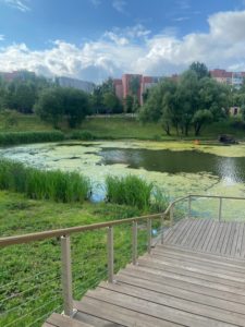 Лиственница поручень, наша работа